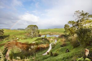 Family Adventure in New Zealand: Natural Wonders and Cultural Riches