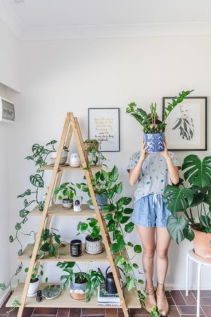 How to Bring the Outside Inside with Indoor Plants