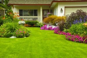 5 Tips on Maintaining Your Gorgeous Lawn