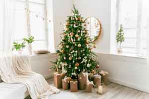 5 Ways to Keep Your Christmas Tree Looking Fresh & Healthy this Festive Season