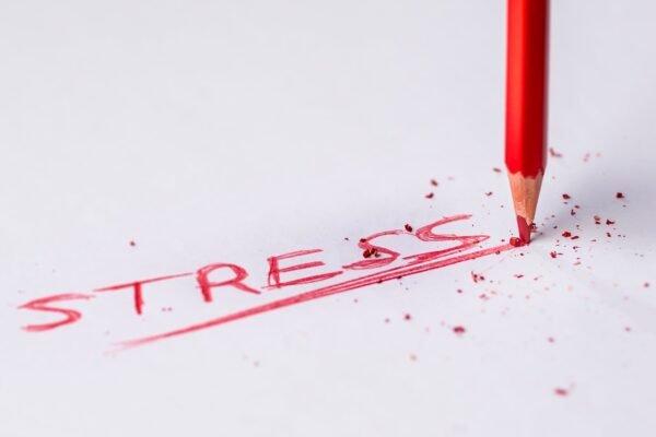 3 Things That You Can Try if Stress is Taking Over Your Life