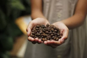 Fair Trade vs. Conventional Coffee Beans: A Wholesale Comparison