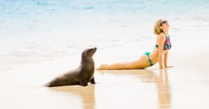 Five Things to Keep in Mind When Planning a Visit to the Galapagos Islands