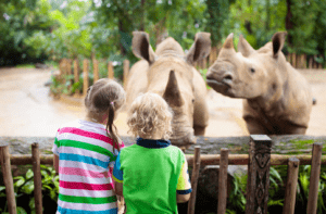 Six Tips to Teach Your Child About Endangered Animals