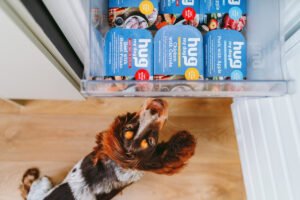 The UK’s First Ever Range of Ready Meals for Dogs 