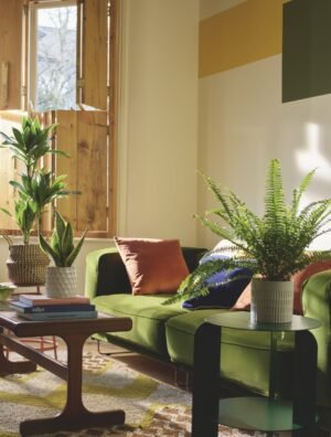 Expert Shares 4 Top Tips for Happy Houseplants