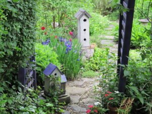 How to Get More Birds in Your Garden