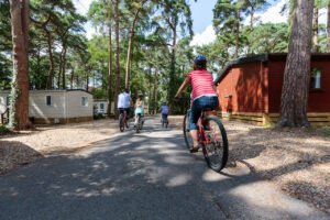 The Health Benefits of UK Forest Holidays