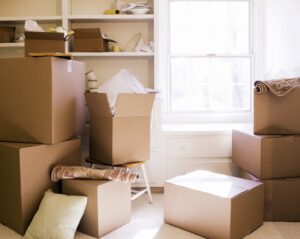 How to Choose the Right Professional Movers for Your Needs