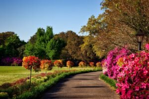 City Gardens: Where Nature Meets Community Care