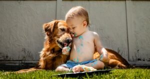 Toddlers: The Benefits of Pets, When to Get One, and What Your Child Must Take Care of