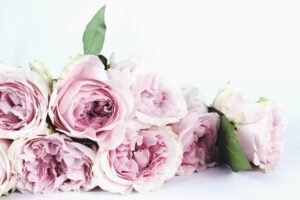 DIY Floral Gift Ideas to Make Mother’s Day Special