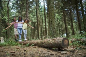 Landal Darwin Forest – Glistening Displays at the Matlock Bath