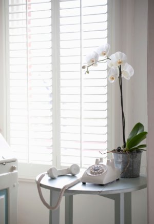 The Benefits Of Wood Window Shutters Over Plastic Window Shutters