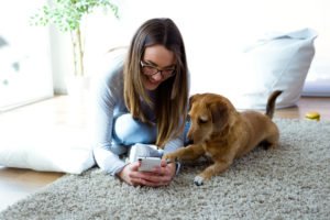 Expert Advice on Pet-Proofing Your Home