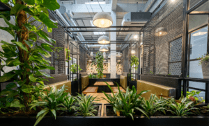 Greening the Workplace: How Plants Enhance Productivity and Happiness in Office Spaces