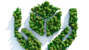 How to Avoid Greenwashing as a Small Business 