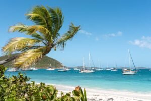 Your Caribbean Escape: Why St. Thomas Vacation Rentals are a Must