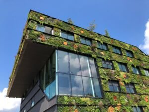 Sustainability in the Workplace: 6 Tips on How Offices Can Start Being More Sustainable