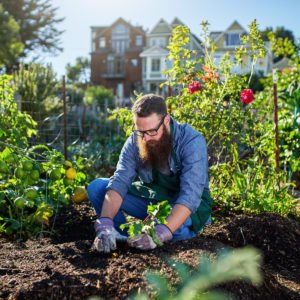 The Benefits of Urban Gardening