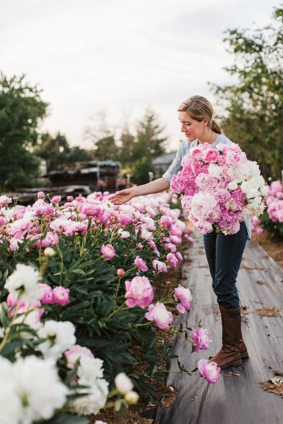 6 Tasks to Get Your Garden Ready for 2019