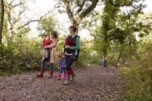 Have a Feel-Good Autumn With Forestry Commission England