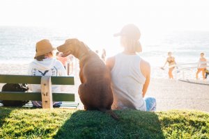 Canine Companions: How Dogs Have Helped Humans Throughout Time