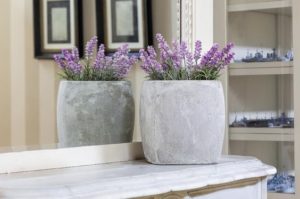 How Decorating Your Home With the Right Plants Can Improve Your Health