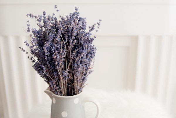 Lavender to Peppermint: What Scent Helps You Sleep?