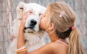 7 Reasons Why Pets are Good for Kids