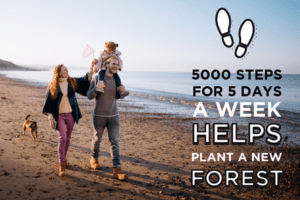 Turn Your Footsteps Into a New Forest to Help Fight Climate Change