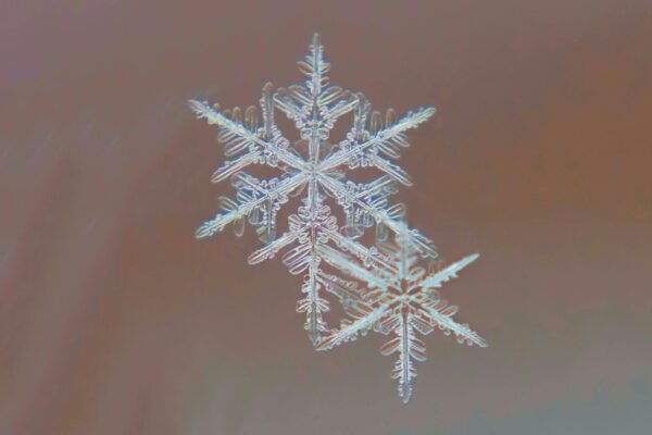 Ploughing into the Science of Snowflakes this Christmas