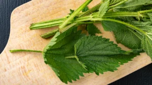 Don’t Chuck Garden Weeds – Repurposing Stinging Nettles for Hair and Scalp Care