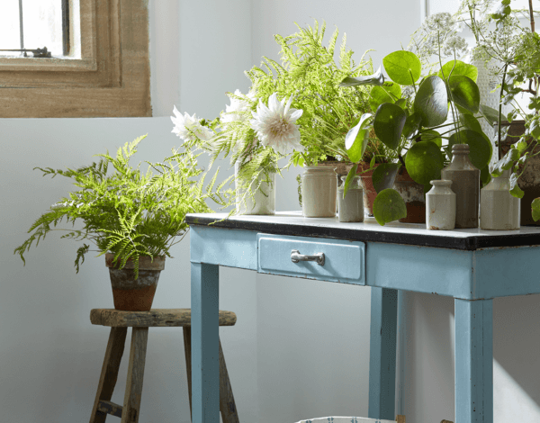 Spring Inspired Decorating Tips