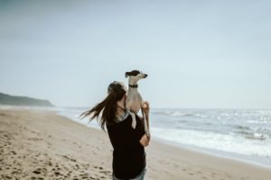 3 Things to do in Brighton that are Dog Friendly