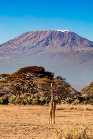 Tanzania eVisa: Explore the 5 Best Destinations in Tanzania