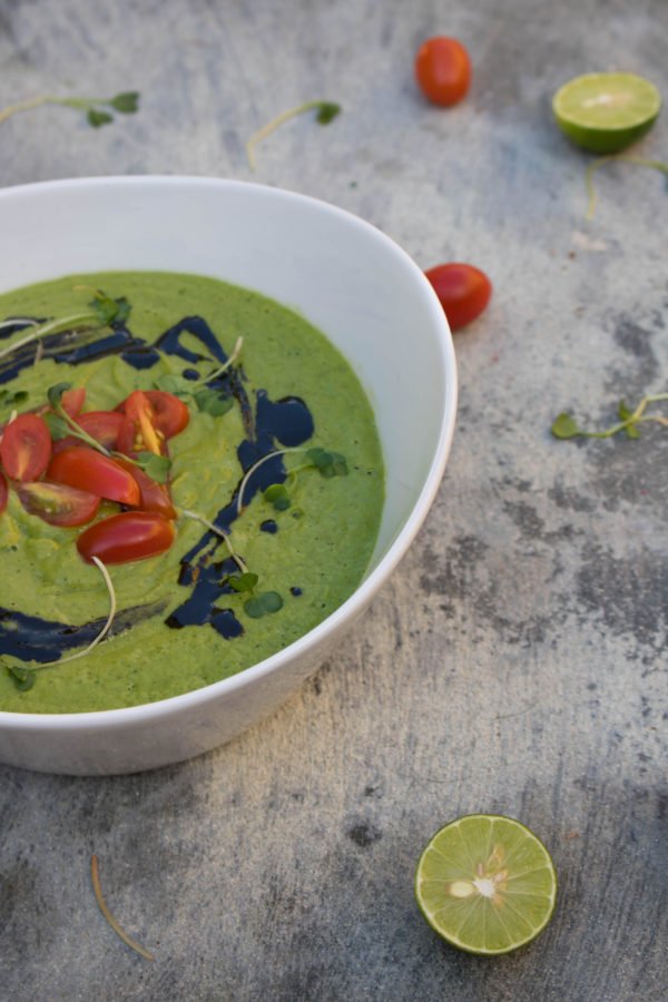 Mexican Avocado Soup