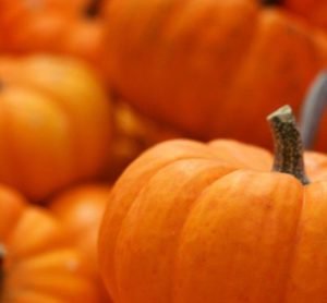 Revealed: 7 Reasons Why You Shouldn’t Just Eat Pumpkin at Halloween